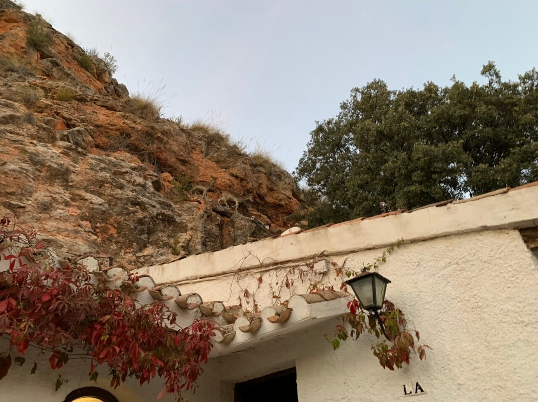 Hotel Rural Albamanjon主图