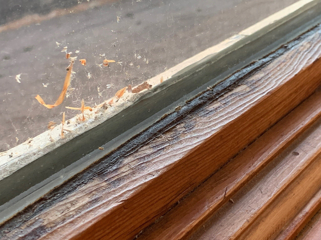 M22 Inn - Suttons Bay主图