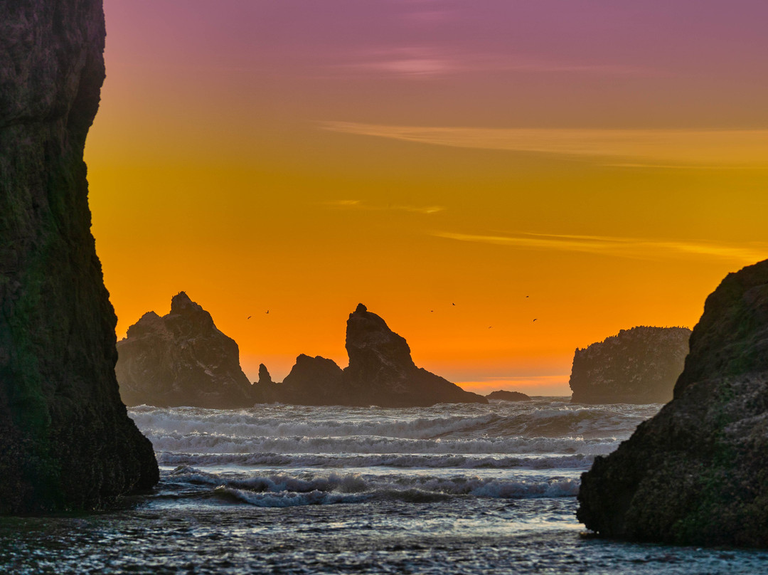 Kronenberg Park (Coquille Point)-班登必去景点