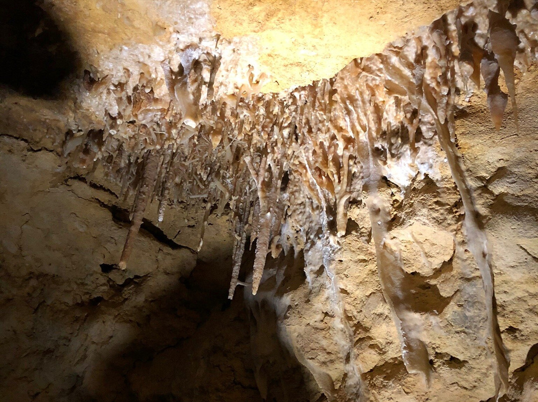 Victoria Fossil Cave-Naracoorte必去景点