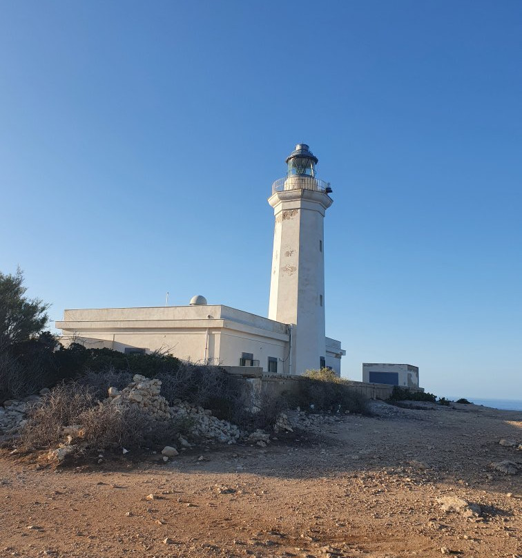 Faro di Capo Grecale-兰佩杜萨必去景点