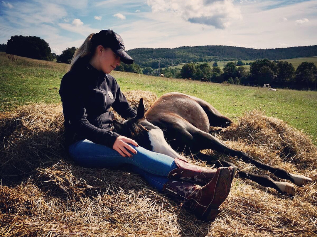 Star Line Farm主图