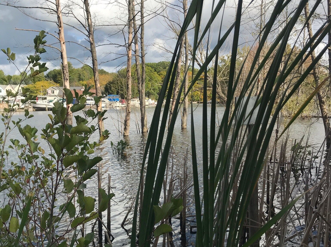 Kal Haven Trail-南黑文必去景点