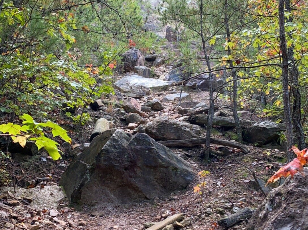 Occoneechee Mountain State Natural Area景点图片