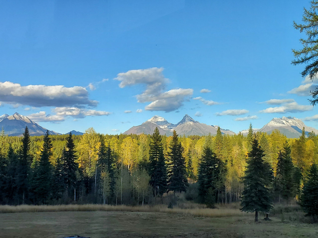 The Way Less Traveled Bed & Breakfast主图