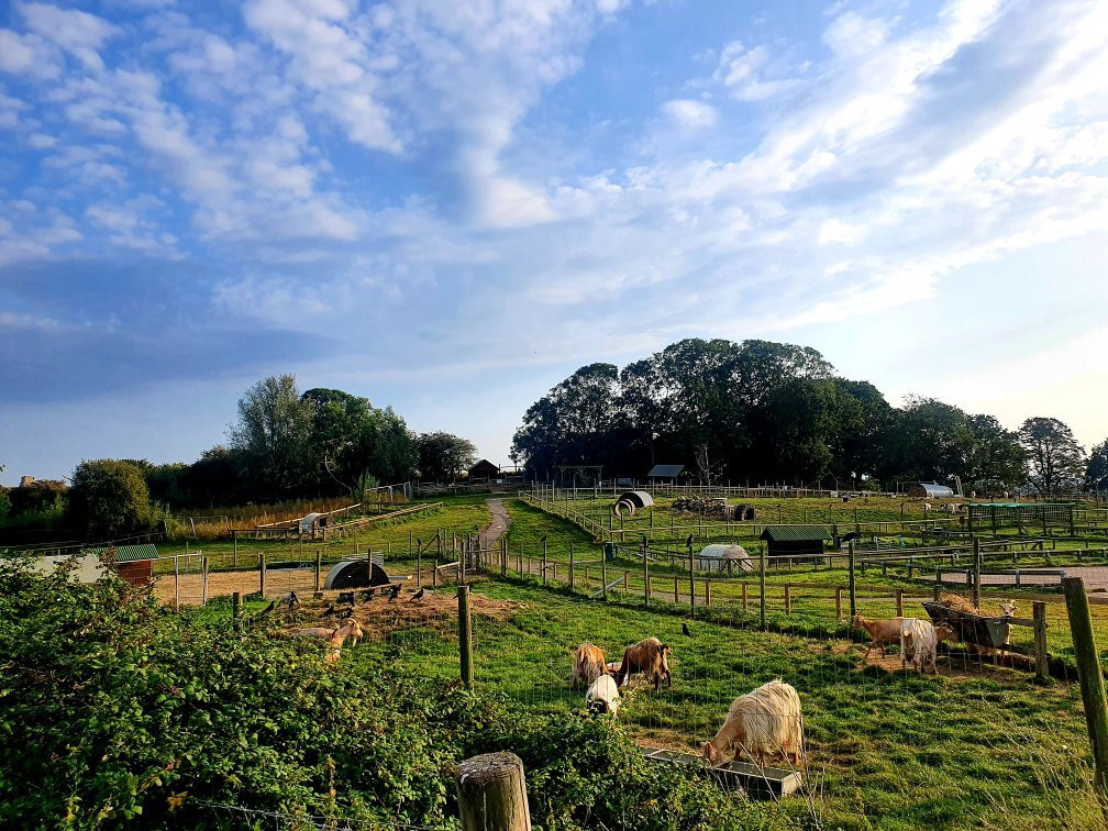 Hadleigh Country Park景点图片