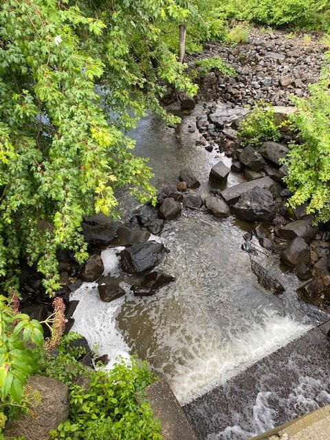 Wayne Village Dam on Mill Brook