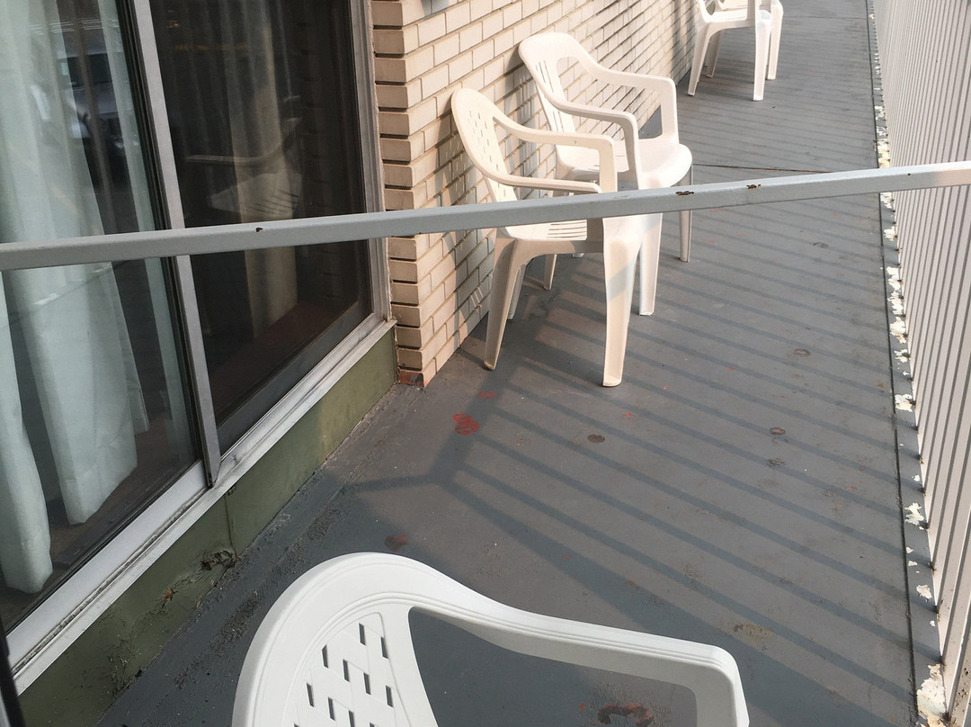 包湖景观酒店主图