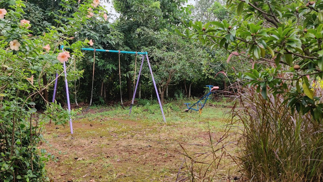 Aajol - The Village Homestay主图