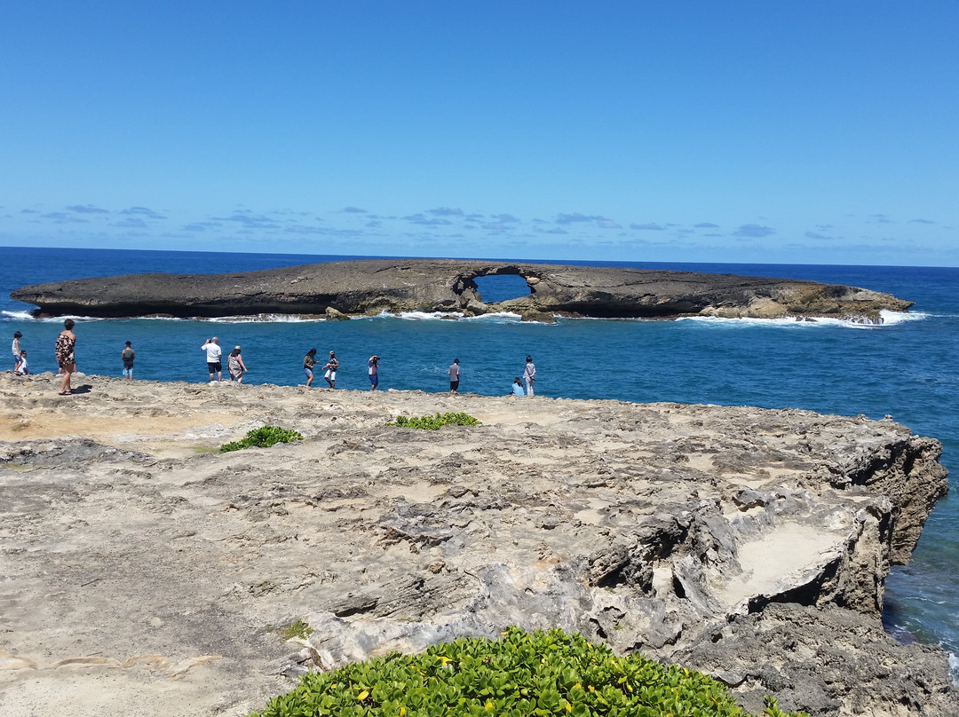 Hawaii Convertible Tours-维帕胡必去景点