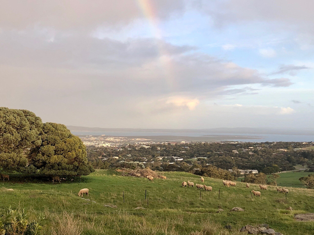 Winter Hill Lookout-Port Lincoln必去景点