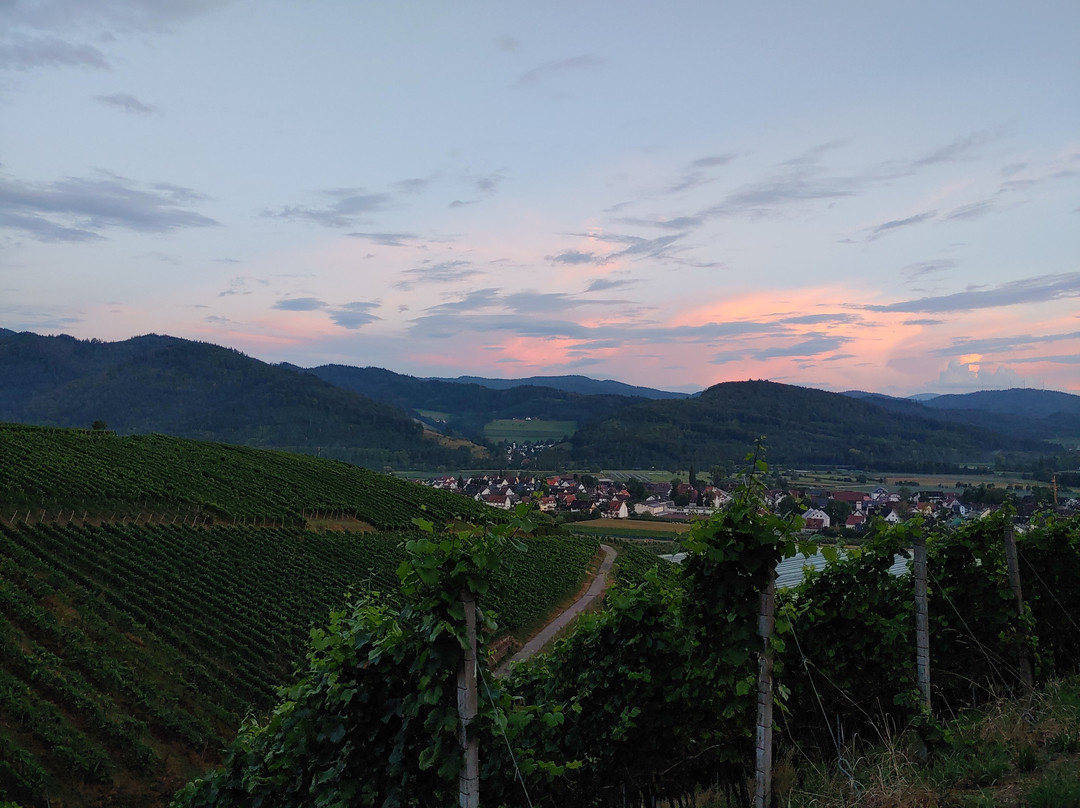 Hotel & Gasthaus Löwen主图