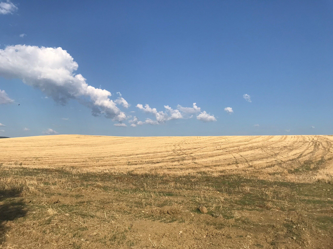 Agriturismo Poggio Mario主图