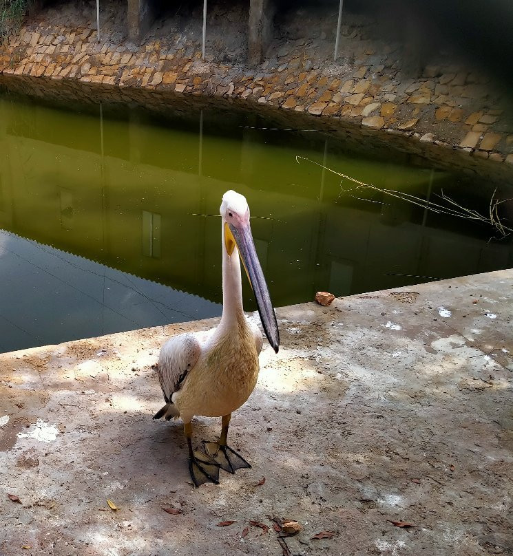 Haleji Lake-Thatta必去景点