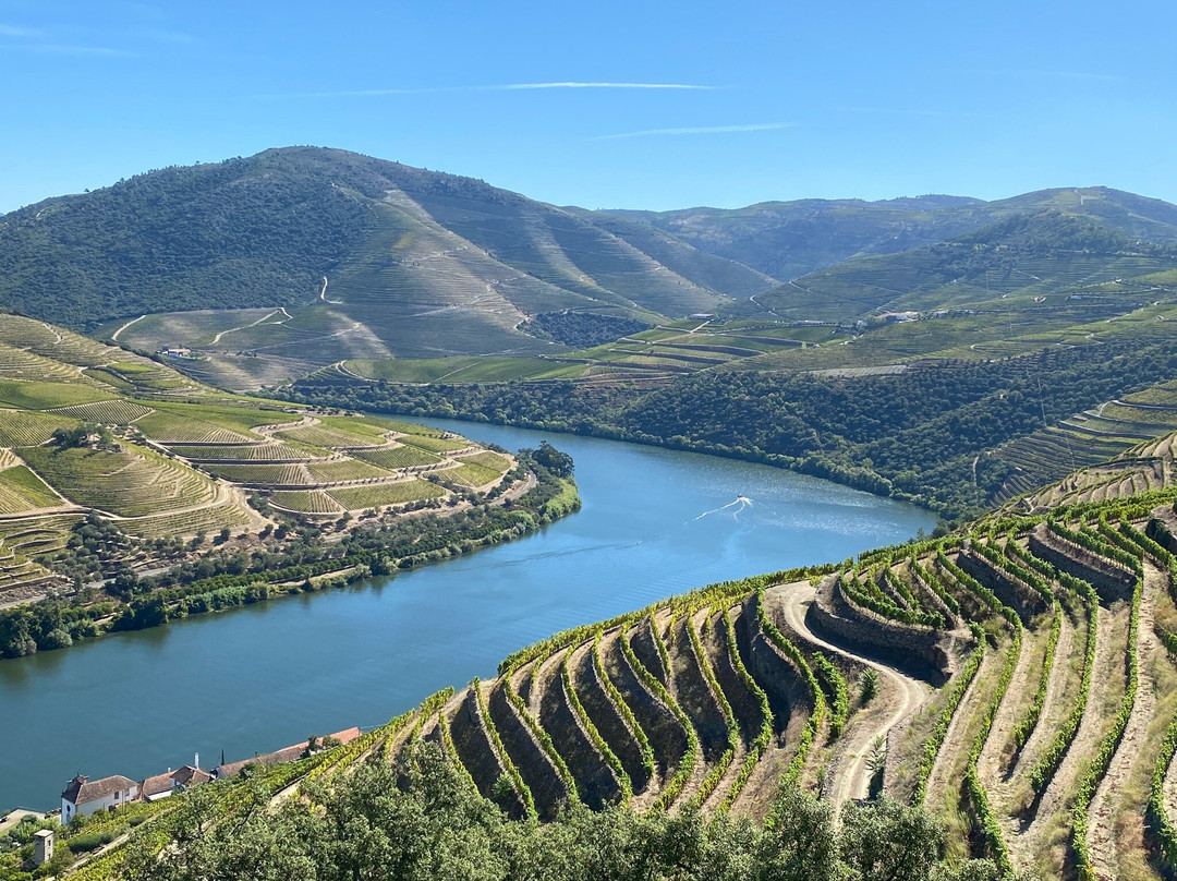 Douro Feeling景点图片