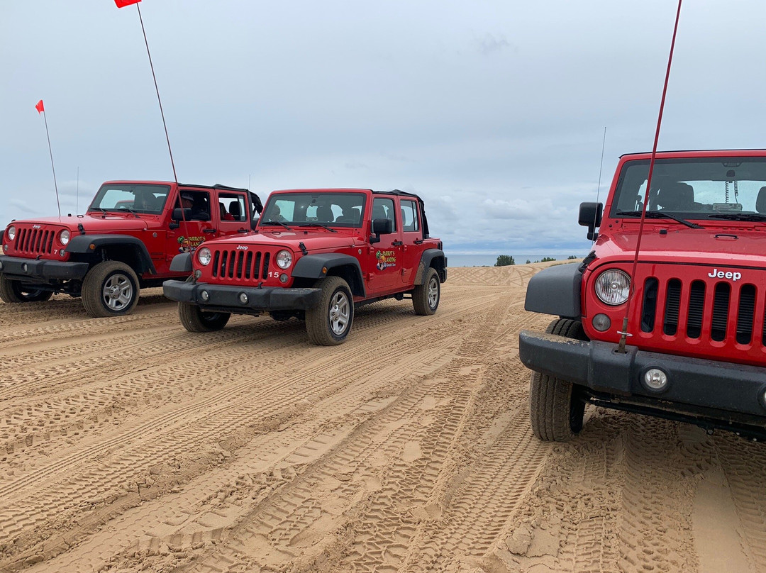 Parrot's Landing Jeep Rentals and Tours景点图片