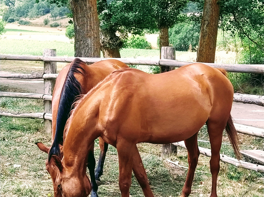 Caballos Albarracin景点图片