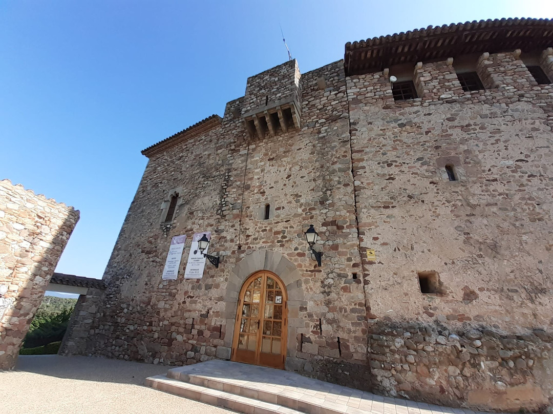 Castell de Plegamans景点图片