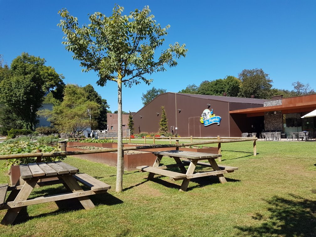 La Fageda Fundació景点图片