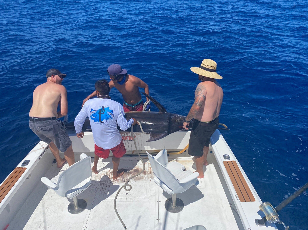 Titos Sportfishing-卡波圣卢卡斯必去景点