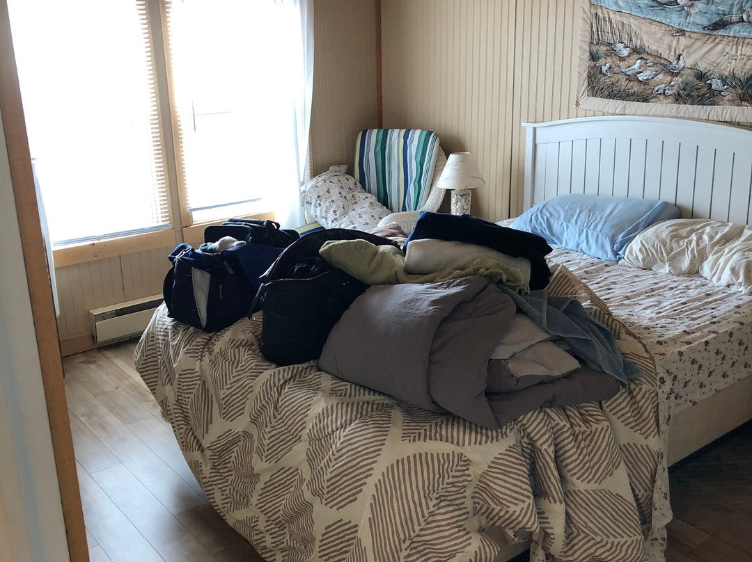 Spencers Island旅游攻略图片