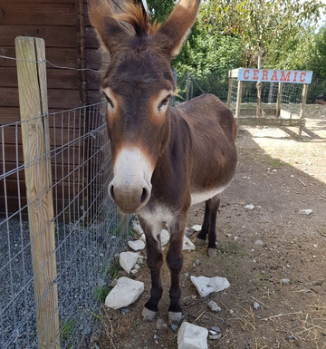 Parc Du Coq à l'Âne-Saint-Georges-de-Rex必去景点
