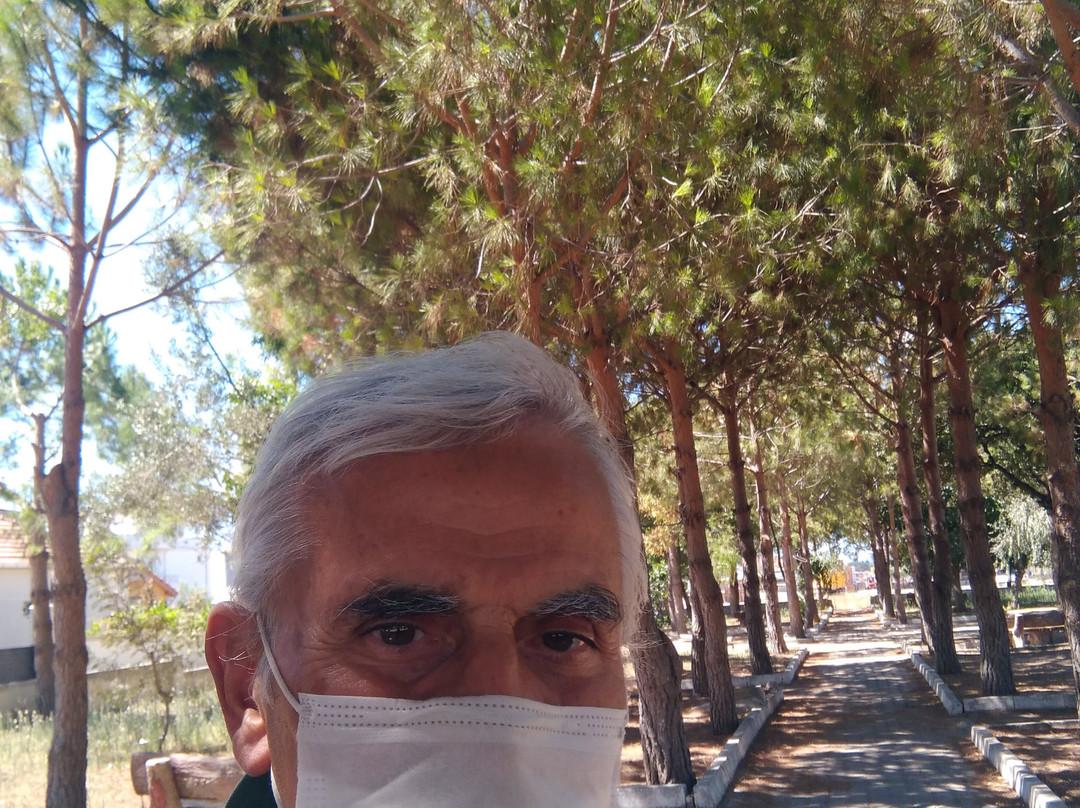 Belediye Parki景点图片