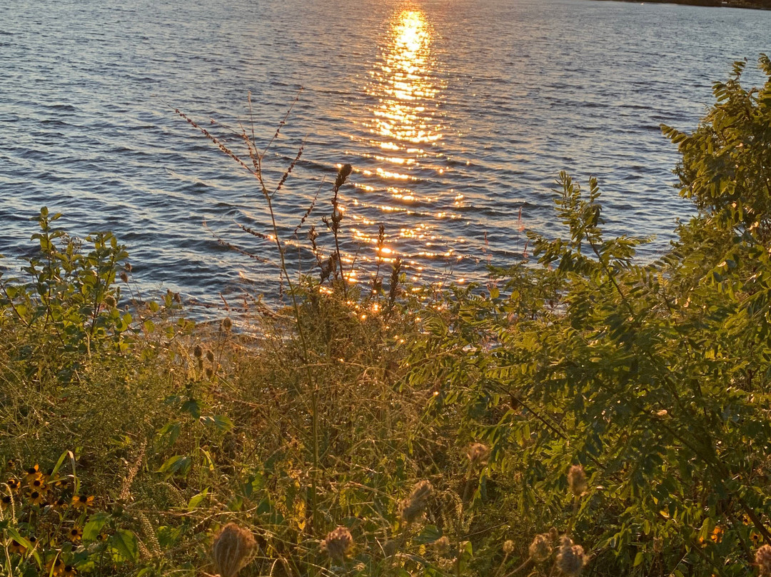 Lake Fowler景点图片