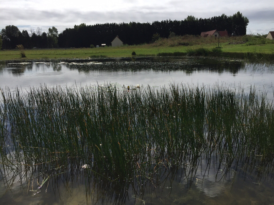 L'Echo des 2 Baies主图