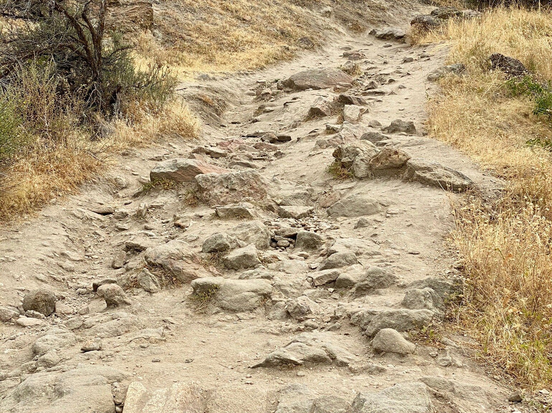 Ridge to River Trail System-博伊西必去景点