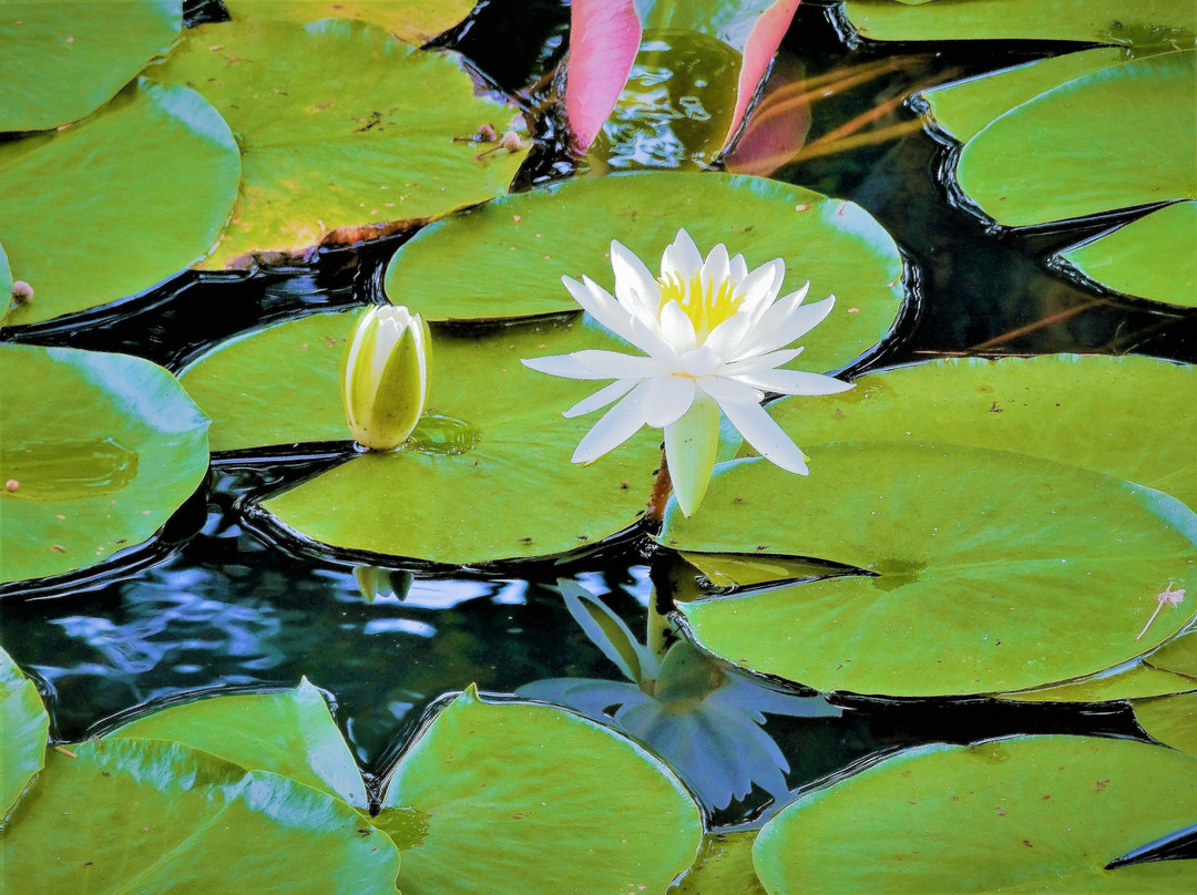 Gyokusenkan Atochi Park-岩见泽市必去景点
