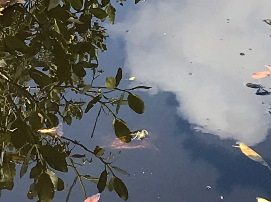 Paget Marsh-佩吉特教区必去景点