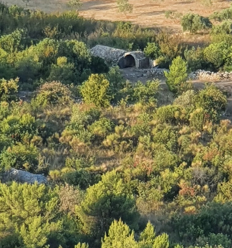 Velika Mrdakovica - Arauzona景点图片
