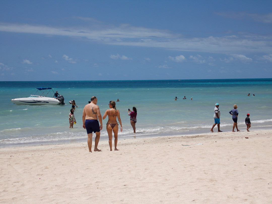 Gray Line Brazil-Maceio必去景点