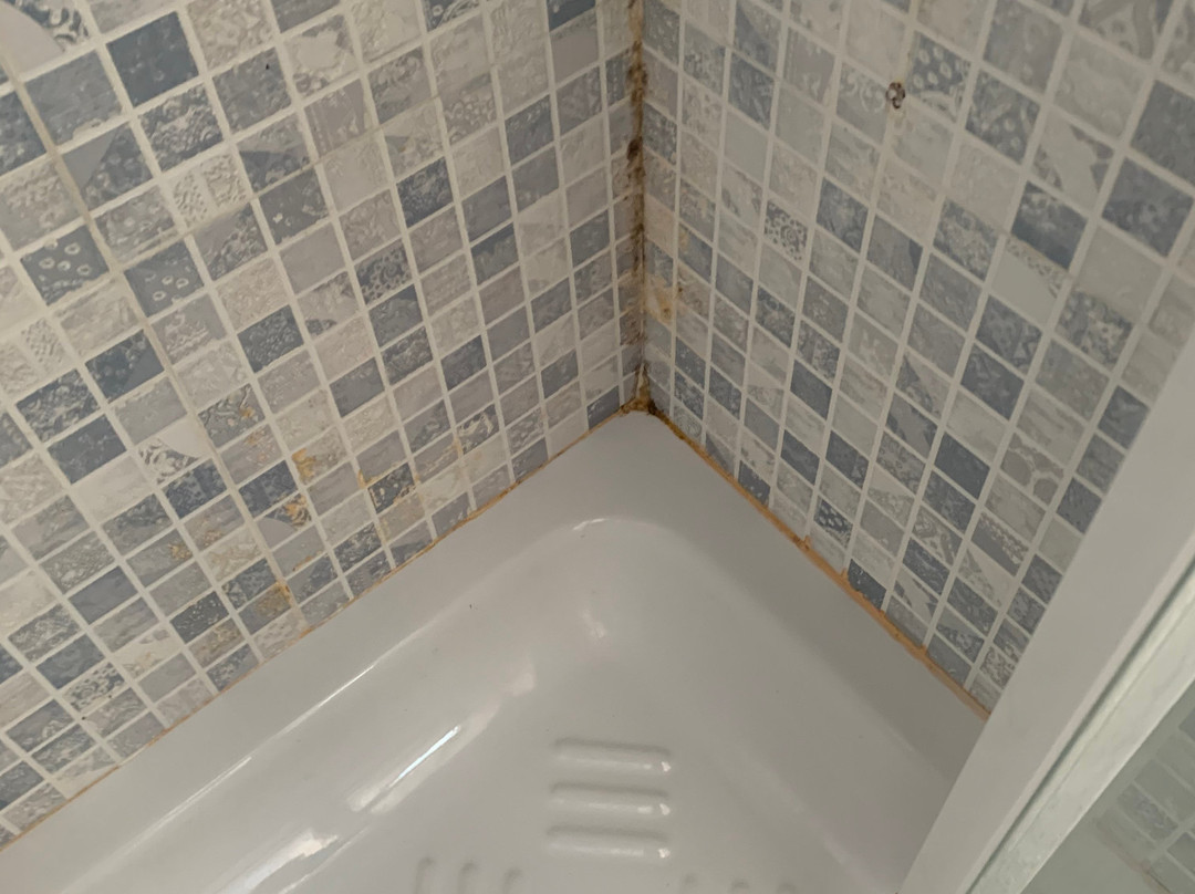 Conchiglia Azzurra Hotel主图