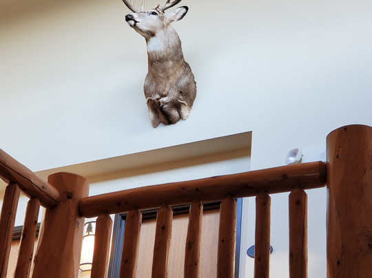 Quality Inn & Suites - Ladysmith主图