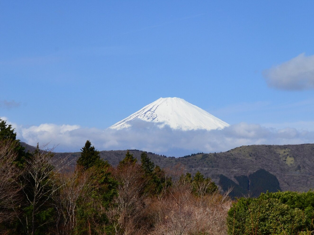 绿色广场酒店主图