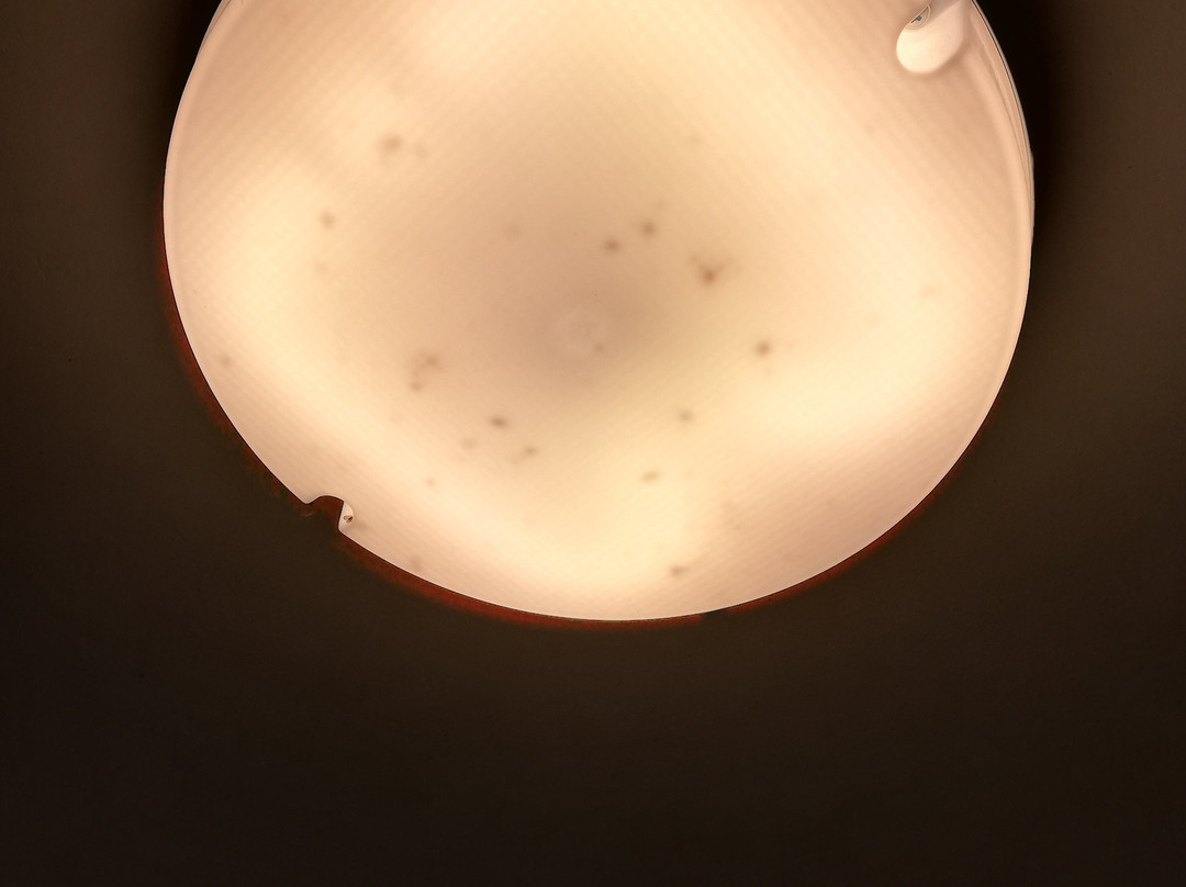 The Great Escape主图