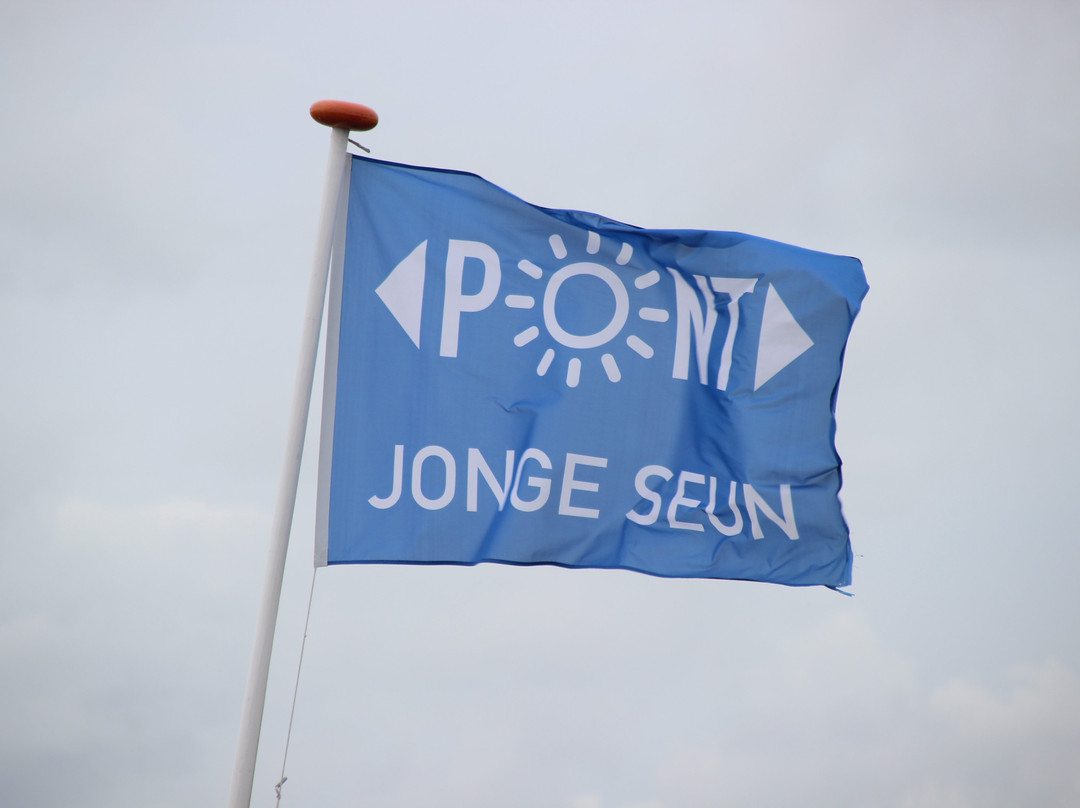 Zonnepont Jonge Seun-哈灵根必去景点