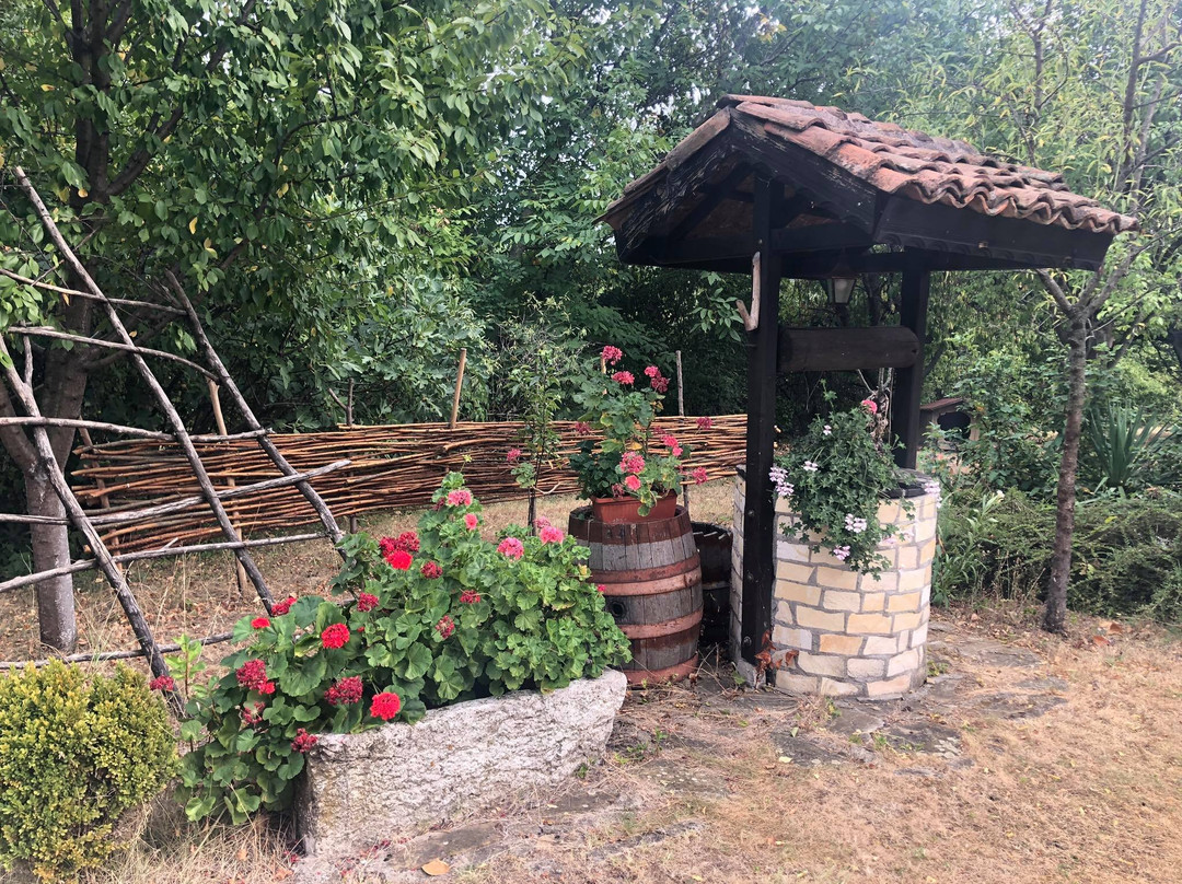 Park Hotel Djevana