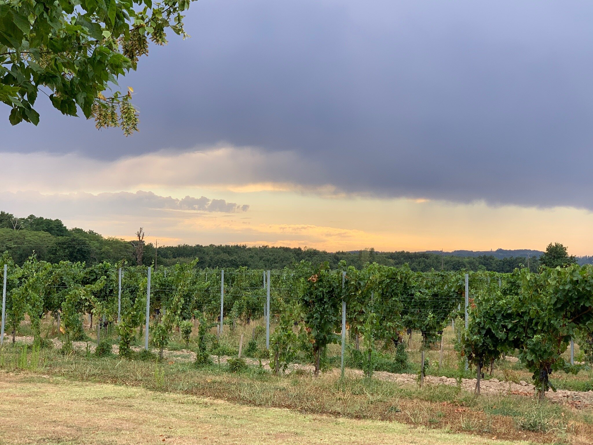 Domaine de Grande Font-官方