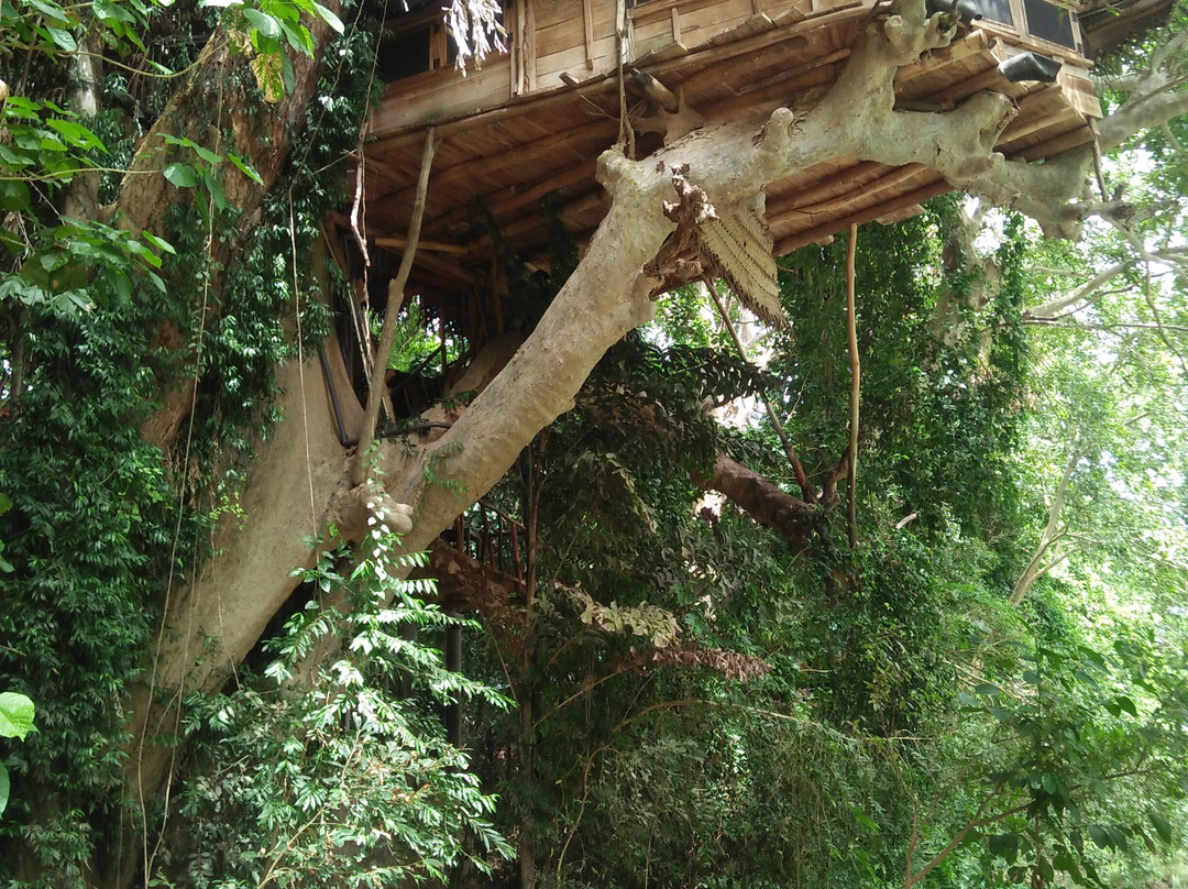 Kumbuk Tree House主图