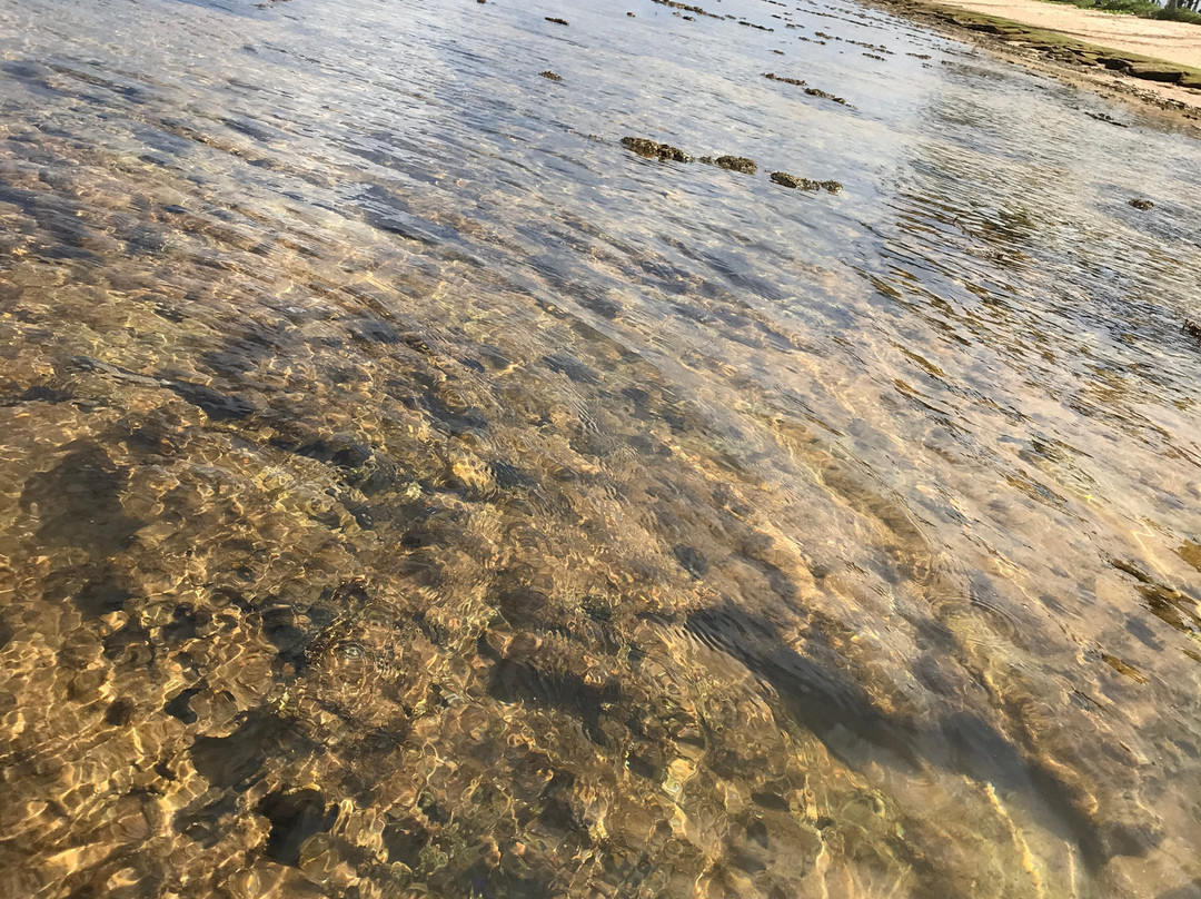 Piscinas Naturais-普拉亚多海滩必去景点