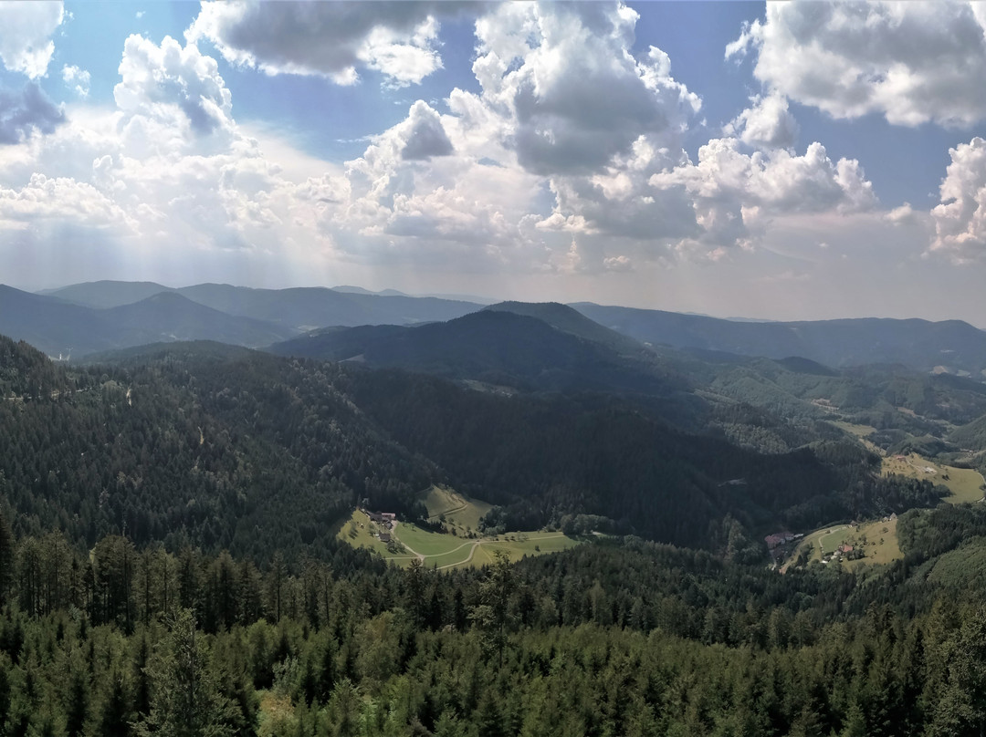 Buchkopfturm Oppenau景点图片