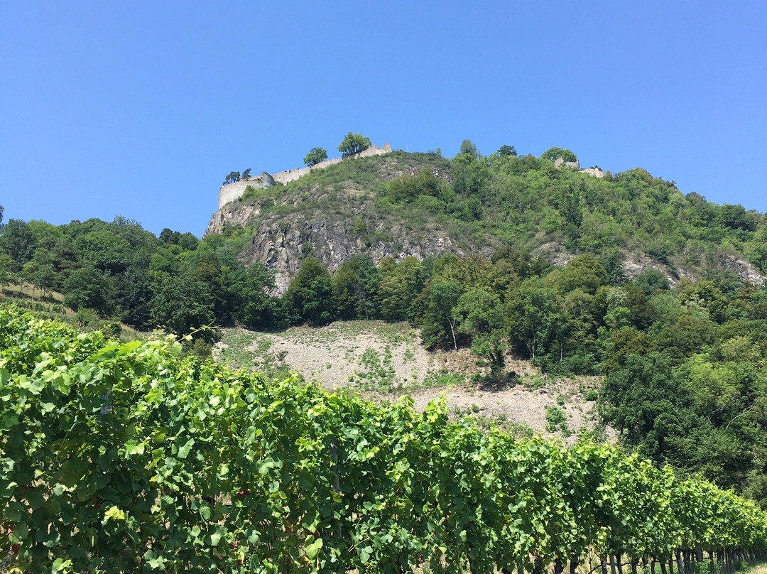 Hohentwiel Fortress Ruins景点图片