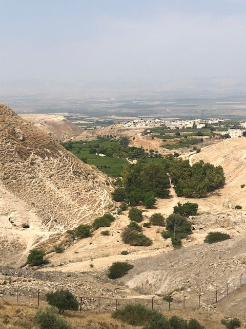 Beit Al Fannan主图