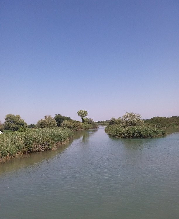 Riserva Naturale Foci dello Stella景点图片