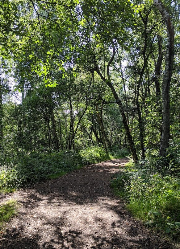 Lenzie旅游攻略图片