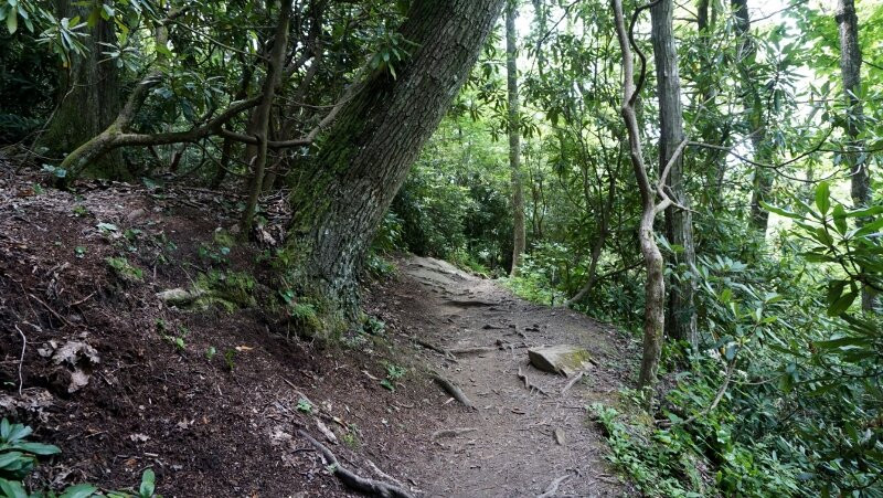 Glen Burney Trail-布洛英罗克必去景点