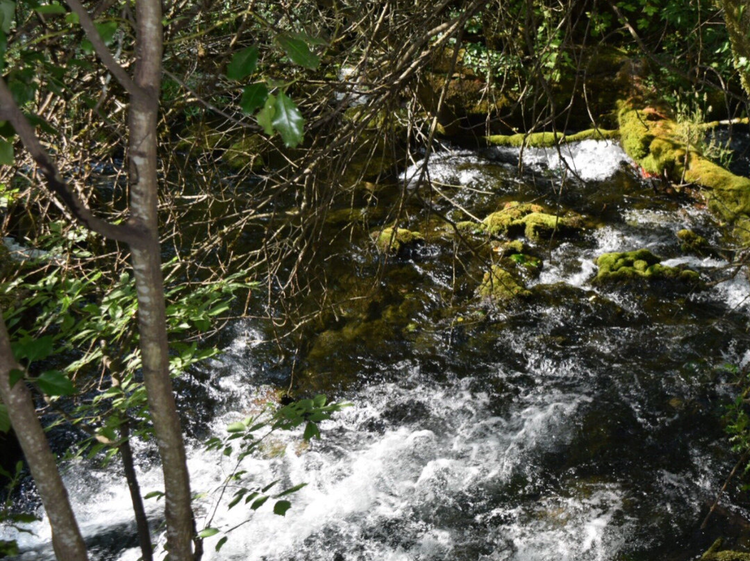 Agios Nikolaos Park-Naousa必去景点
